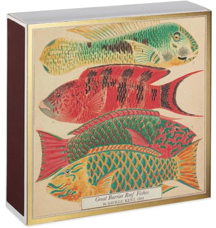 Long Matches, Great Barrier Reef Fishes Giant Matchbox Gift, Extra Long Luxury Matches, Giant XL Matches, Fish Matchbox, Candles Gift, Coloured Tip Matches, Fireside Matches