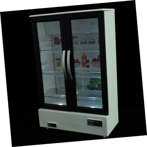 INOOMP Miniatur Kühlschrank Spielzeug Für Puppenhaus Realistisches Zubehör Für Miniatur Möbel Dekorative Kuration Für Szenenmodelle Für Junge Mädchen Und Freunde Kompakt Und