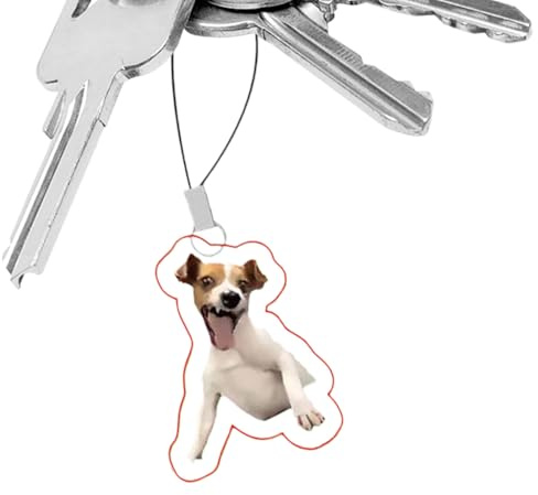 Generisch Süßer Handy-Anhänger | Deko Anhänger Für Rucksack,Tragbarer Katzen Hund Emoticon Charm Für Handtasche Und Rucksack Deko