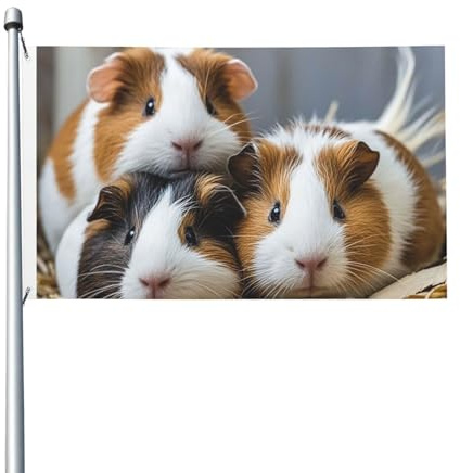 Drapeau de 90 x 152 cm double face pour décoration d'extérieur, cochons d'Inde, drapeaux de jardin lourds 200D, œillets en laiton, bannière extérieure pour les vacances