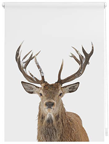 Lichtblick Klemmfix Verdunklungs-Rollo mit Motiv, ohne Bohren, Blickdicht, Seitenzugrollo, Made in Germany, Hirsch - Weiß Braun 90 x 150 cm