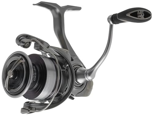 Daiwa Exceler LT Spinnangelrolle, Größe 1000 bis 6000