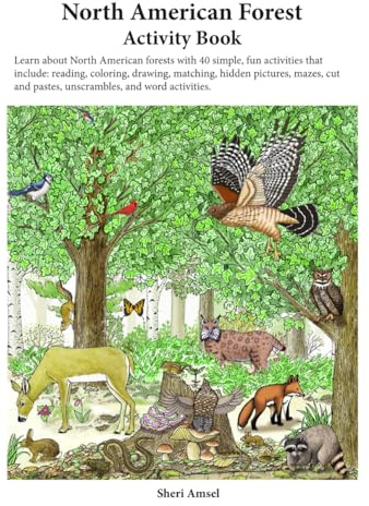North American Forest Activity Book