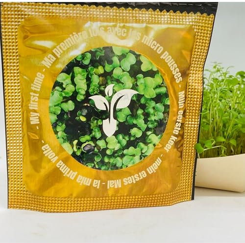 Mikro-Sprossen-Set Mein erstes Mal mit Bio-Kresse, Rucola, Alfalfa - originelle und gesundheitsfreundliche Geschenkidee - Fertig-Set zum Wachsen von Mikrosprossen