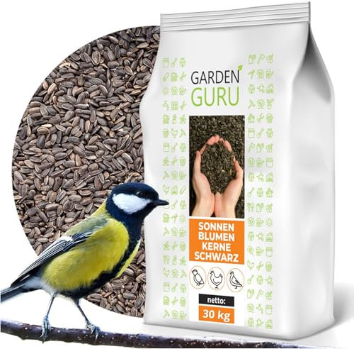 Schwarze Sonnenblumenkerne 30 kg Wildvogelfutter ganzjähriges Futter Vogelfutter Jungtiere geeignet Winterfutter 30kg Ernte 2024