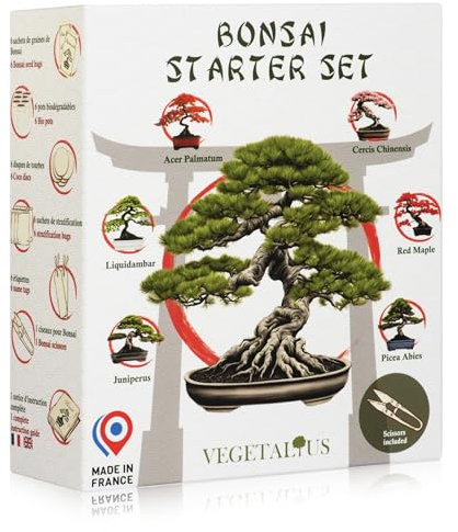 VEGETALIUS - Complete kit of 6 Bonsai with Seeds & Accessories - Made in France - an Original Gift idea for Men and Women for Your Home or Garden