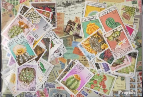 Motives 100 Divers Cactus Timbres (Timbres pour Les collectionneurs) Plantes/Champignons
