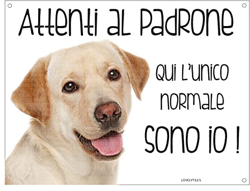 LABRADOR Attenti al padrone qui l'unico normale sono io! CANE CARTELLO TARGA IN METALLO (15X20)