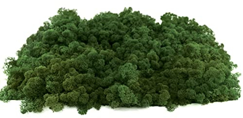 INMO Moos - Islandmoos echtes Natur Moos konserviert 500g Laubgrün. Dekomoos zum Basteln, Moosbild, Wand-Bilder, Wanddeko, Modellbau weitere Farben und Mengen zur Auswahl 40g - 500g 1 KG - 4 KG