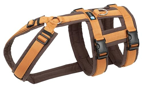 Annyx Brustgeschirr Safety Fun - Bernstein XS