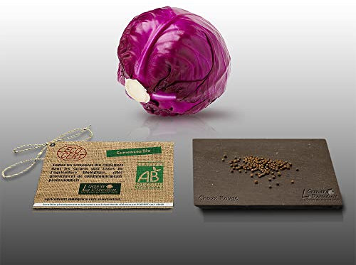 100 graines Bio à semer - Le Grenier d'Abondance - CHOU Rouge Gros - Certifié AB - Brassica oleracea