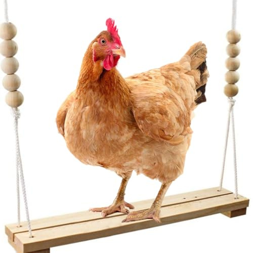 Chicken Swing, Wooden Chicken Toys Durable Chicken Coop Accessories Chickens Accessories for Hens Hanging Swing Perch Hanging Toy for Chickens Parrot Trainning