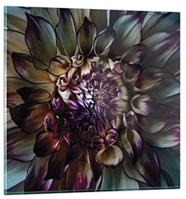 Wandbilder Dekoration Wohnzimmer Blätter Agave Blume Bilder auf Glas 50x50cm Glasbild Schlafzimmer Küche Deko Wand Kunstdruck Art Klein Wanddeko Bild im Glas Modern Wall Decor Glasdruck GAC50x50-5122