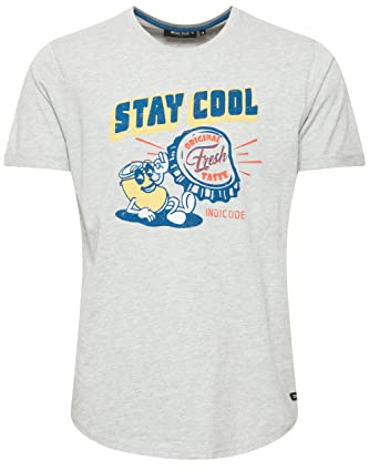 Indicode IDDaniel - 41014 mm T-shirt för män, kortärmad tröja med tryck, Ljusgrå mix (913), L