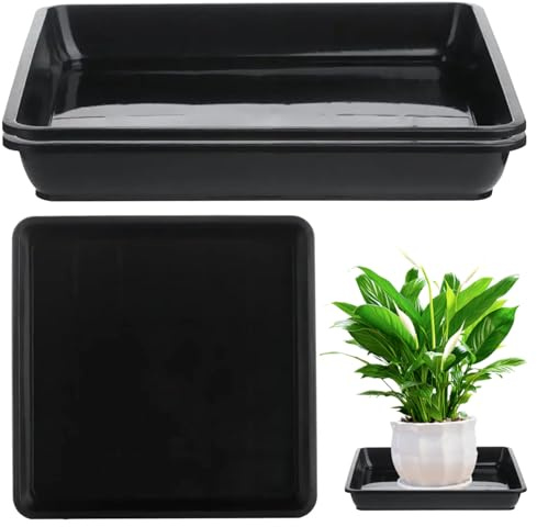 Soucoupes végétales pour l'intérieur, 3 pcs carrés de soucoupe plante en plastique, plateau de capteur d'eau de plante, plateaux d'égouttement de pot de plante, soucoupes de pot de plantes pour des f