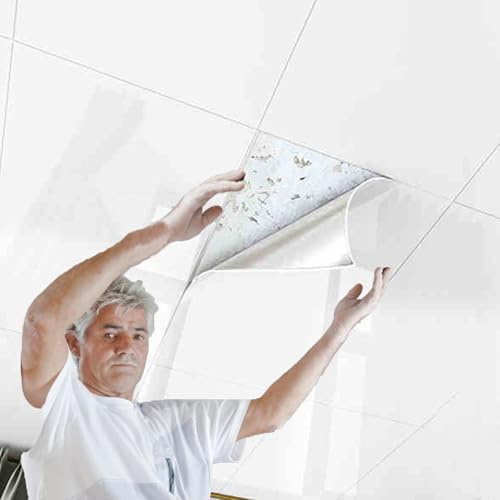 HSIRYAOHD Dalles de plafond blanches à décoller et à coller, panneaux de revêtement de plafond robustes pour décoration murale intérieure/couvrir les fissures et les taches, panneau décoratif en PVC