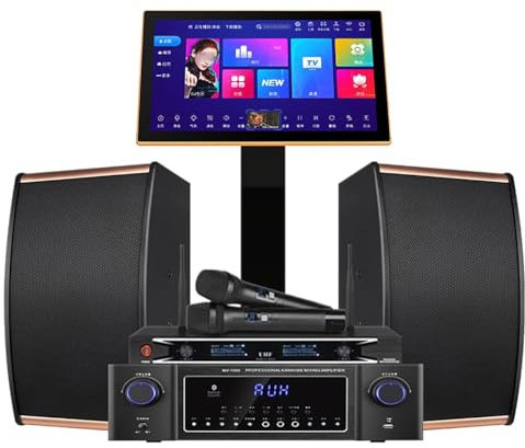 Máquina De Karaoke Profesional De 19 Pulgadas, Reproductor De Cine En Casa En Línea, con Micrófono Inalámbrico Dual, Altavoz De Unidad De 10 Pulgadas De Alta Fidelidad, para El Hogar, Bar, Fiesta