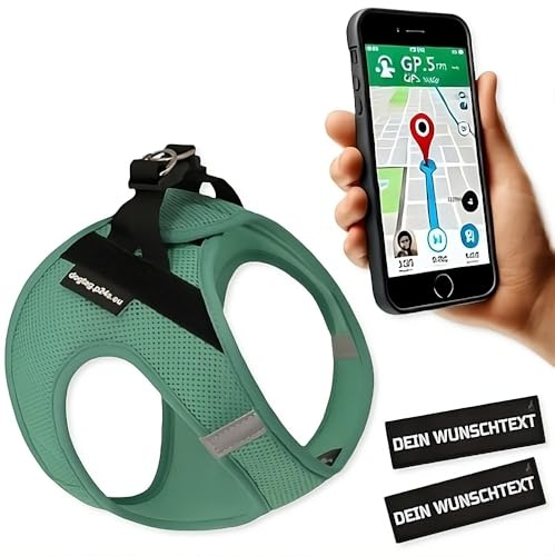 P24S SMART Step-In Hundegeschirr mit 2 kostenlosen benutzerdefinierte Namensaufkleber Klettsticker Wunschtexte für kleine Hunderassen mit Online Dogtag Service (Türkisgrün, L (Brust: 58-66 cm))