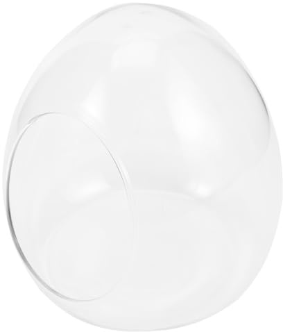 Terrarium en Verre Œuf pour Plantes, Bouteille Décorative | Verre Transparent, Style Créatif, pour Maison ou Chambre, Peut Accueillir Diverses Plantes