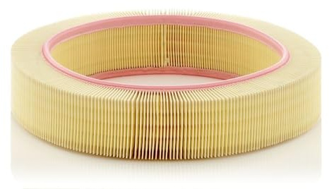 MANN-FILTER, C 40 174 Luftfilter | För personbilar, ren luftintag, hållbart filtermaterial, design med perfekt passform, äkta OE-teknik