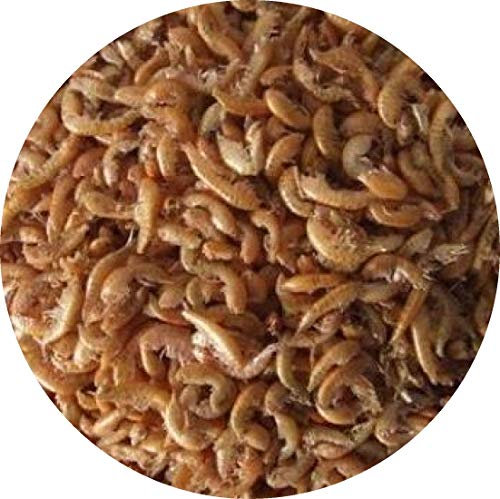 Gammarus Bachflohkrebse Fischfutter FD Reptilienfutter Vogelfutter Nagerfutter (5 l)