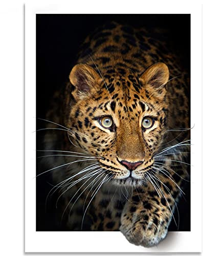 Instarry DIY 5D Diamond Painting Kit Full Drill Diamantmålning Korsstygn Broderi Vardagsrum Dekoration Hantverk Kit Geparden 60x40 cm