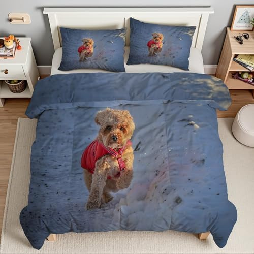 Piumino Singolo Neve Trapunte Bichon Frisé Piumone Imbottito Resistente Lavabile, Super Morbida Trapunta, piumini 160x245 cm in Microfibra Reversibile e 2 Federa 50x80 cmT2073