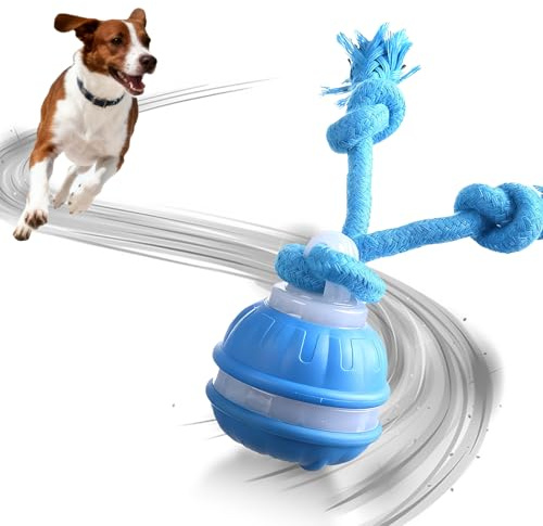 JOPWUE Jouet interactif pour chien, jouet intelligent pour chien pour l'ennui, balle mobile rechargeable, balle à rouler active automatique avec queue pour chiens, jouet pour animaux de compagnie avec