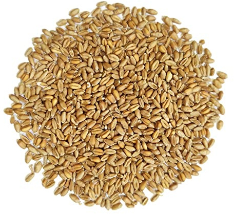 Trigo Entero para Aves Sunseed 2,5Kg