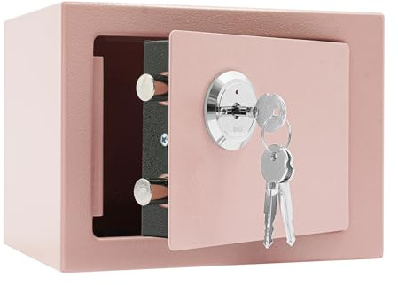 Fyssnn Coffre-fort à clés avec fente pour pièces de monnaie et clé - 4,6 l - Coffre-fort mural pour la maison/le bureau - 23 x 17 x 17 cm (rose)