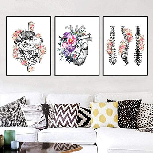 Anatomico Organo Vintage Poster Anatomia Umana Stampe su Tela Dorso Cuore Polmone Anatomia Poster Clinica Art Parete Sala Medica Decorazione Senza Cornice 40 × 50 cm × 3 pz