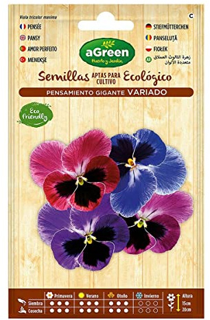 aGreen sobre Semillas Pensamiento Gigante