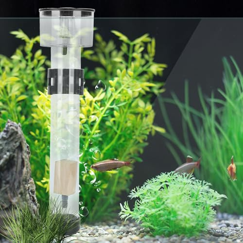 ZenithAur Protein Skimmer for Aquariums, Acrylic Fish Tank Filter Separator with IQ5 Mini Aquarium Filter Accessory