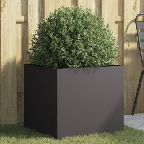 Rantry Pflanzkübel Hochbeet Blumenkasten Frühbeet Garten Pflanzkasten Gemüsebeet Gartenbeet Pflanzbeet Blumenbeet Schwarz 49x47x46 cm Kaltgewalzter Stahl