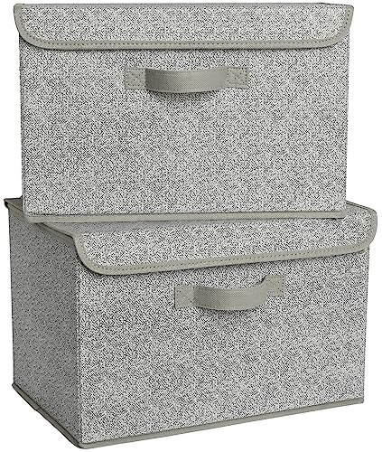 GRANNY SAYS Aufbewahrungsboxen mit Deckel, 2 Stück Kisten Aufbewahrung mit Deckel, Faltbare Ordnungsboxen Stoff, Aufbewahrungskörbe für Kleidung, grau Faltboxen mit Deckel für Kleiderschrank