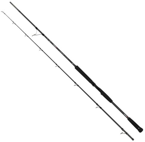 Fox Rage Prism X Catfish Spin Rute 250cm 50-180g - Wallerrute zum Spinnfischen, Spinnrute zum Wallerangeln, Welsrute