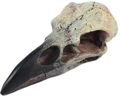 Folpus Halloween Rabenschädel Dekor Halloween Dekor Kleidung Harz Vogelschädel Anhänger für Festival Schreibtisch Ferienhaus Spukhaus, 60 Mm X 28 Mm X 22.5