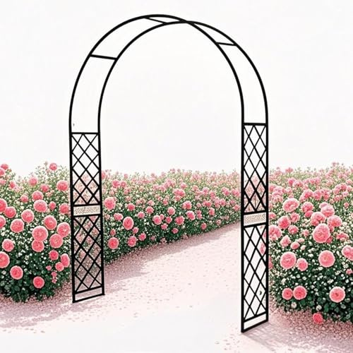 Treillis d'arche de jardin robuste pour plantes grimpantes, cadre de support de pergola en métal pour roses et vignes, tonnelle d'extérieur pour jardin et pelouse (240 x 240 cm)