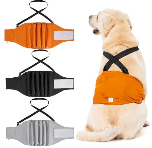 Avont 3 waschbare Windeln für Hunde, wiederverwendbar, für männliche Hunde, Schutz, Komfort Nappy in physiologischen Zeiten, bei Hitze, Inkontinenz - L (Träger)