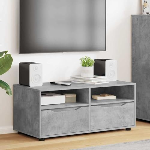 QJBSAVVA TV-Schrank Beton Grau 100 x 48 x 43 cm Holzwerkstoff Modernes Lowboard mit 2 Regalen und großzügiger Schublade für Wohnzimmer Flur Schlafzimmer