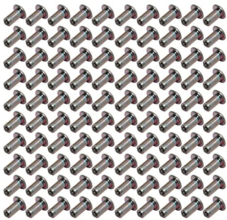 100 Stück Hartmetall Schrauben Reifenspikes, rutschfeste Schneereifen Spikes Zum Einschrauben Von Reifenspikes, Verzinkte Oberflächen Radreifen Spikes für Reifen, Schneestiefel