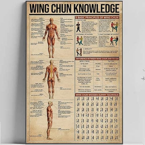 Wing Chun Knowledge,12 * 8 Inches Vintage Funny Poster Wall Decor Art Gift Retro Picture Metal Sign