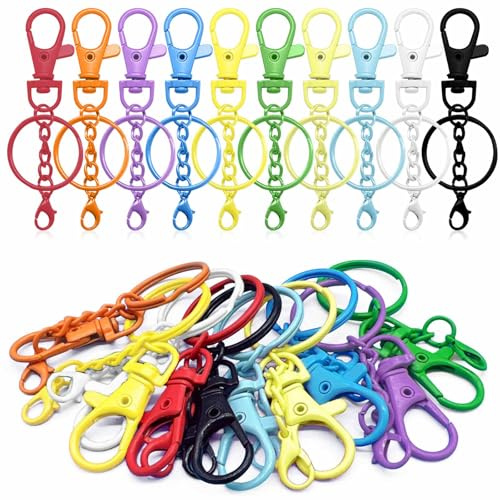 100 Pièces Anneau Porte Clef,Anneaux Porte Clé,Porte Clef Mousqueton,Attache Porte Clé,Anneau Porte Clé,Mousqueton Porte Clé,Keychain pour DIY
