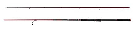 Penn Squadron III Labrax Spinnrute