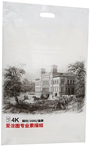 Skizzenpapier, 4K-strukturiertes Kunstpapier Zum Zeichnen und Malen, 20 Blatt Wasserfestes Papier für Künstler, 37,5 X 53 Cm, Ideal für Bleistifte und Kohlestifte