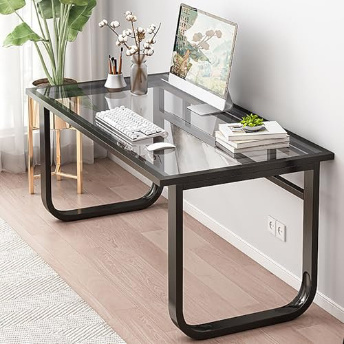 Nileco Computer-Gaming-Schreibtisch mit Tischplatte Aus Gehärtetem Glas, Schreibtische, Arbeitstisch mit Metallrahmen, Workstation für Kleine Räume, Wohnzimmer, Büro(100x60x72cm(39x24x28inch), Black)