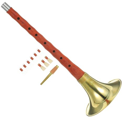 Anfänger Suona D-dur 1 Satz Leichtes Metallblasinstrument | Schüler und Profis, Einfach zu Spielen, Rosthemmend, Zufällige Farbe, Ethnisches Instrument