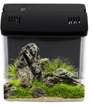 Aquarium pour Poisson Betta | Aquarium Nano avec Filtration Intégrée | Décoration D'intérieur pour Bureau Salon Table | Habitat pour Tortues Grenouilles et Méduses