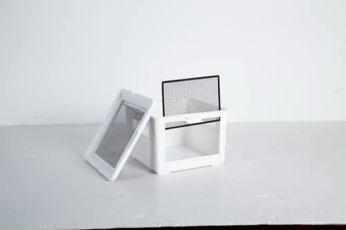 Kunststoffterrarium - small 31x 31 x21 cm (RT2022CS)