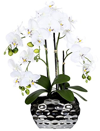 wohnfuehlidee Kunstpflanze Phalenopsis (Orchidee), Farbe weiß, inkl. silberfarbener Ovalvase, Höhe 55 cm